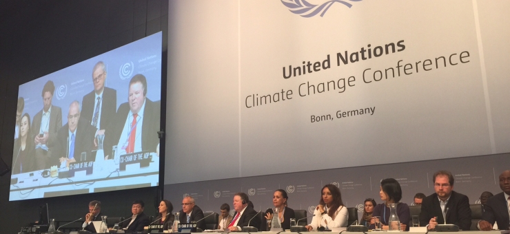 Call for Nominations for IFLRY Delegation to UNFCCC SB44