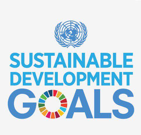 Call for Application: SDG Working Group